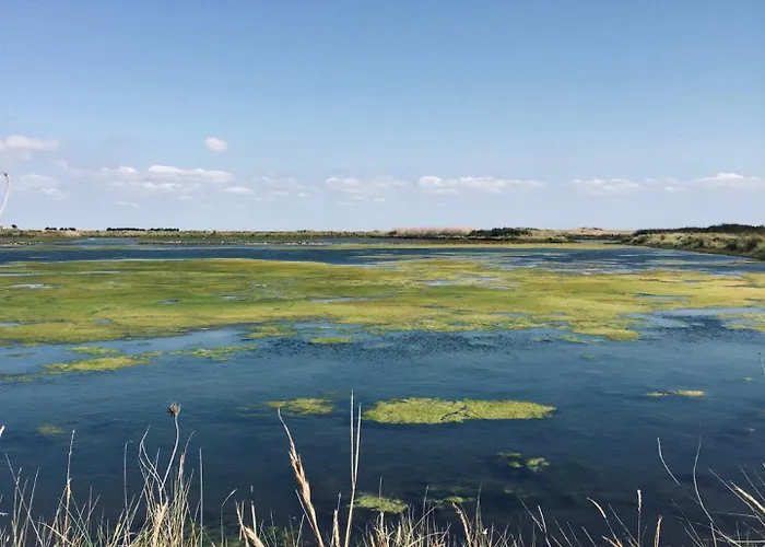 De Caractere A Moins De 10min Des Plages *