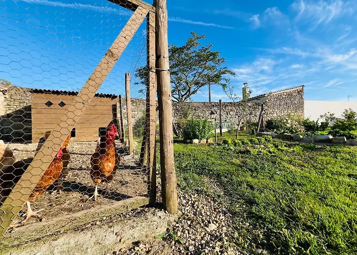 De Caractere A Moins De 10min Des Plages *